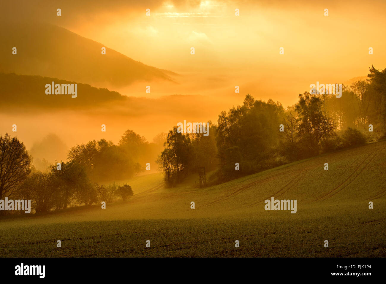 Germany, Hesse, Gellershausen, Kellerwald-Edersee nature park, landscape with morning mist at sunrise Stock Photo