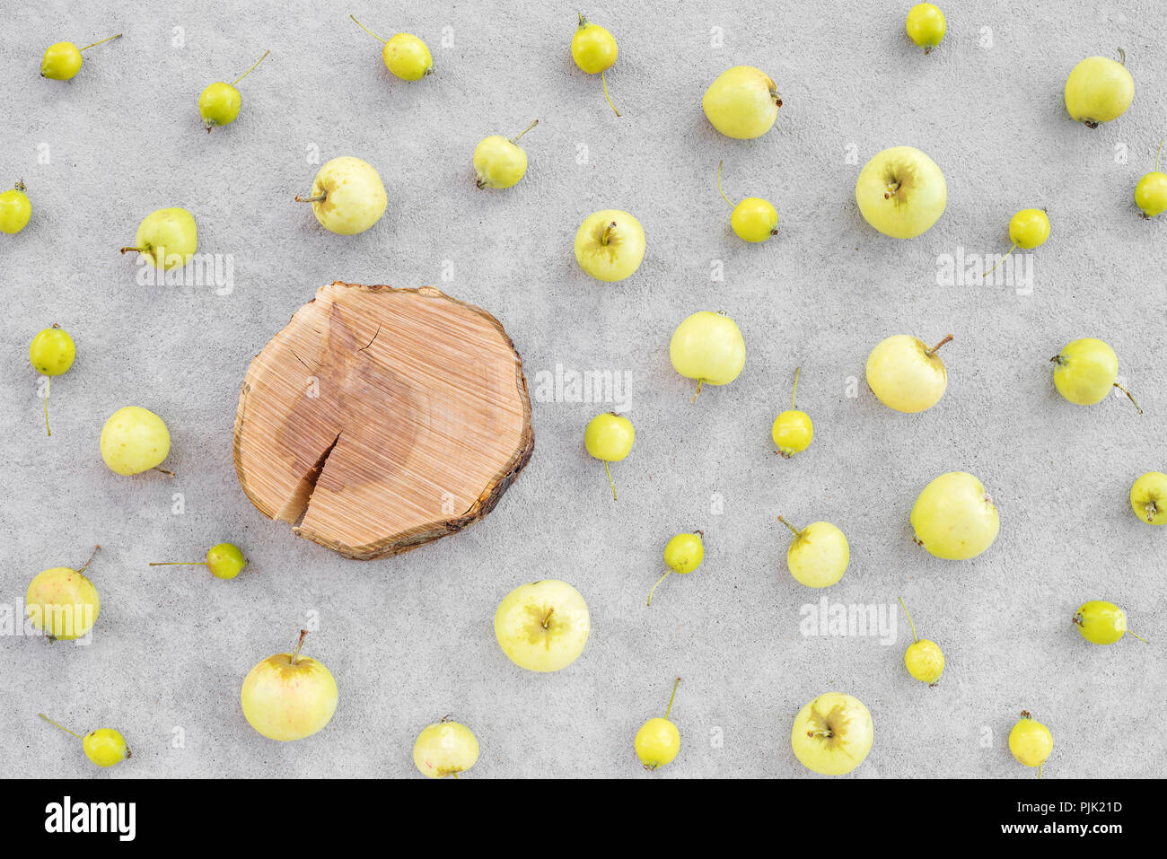 Wild apples and apple tree stump with copy space, on concrete background. August nature flat lay. Stock Photo