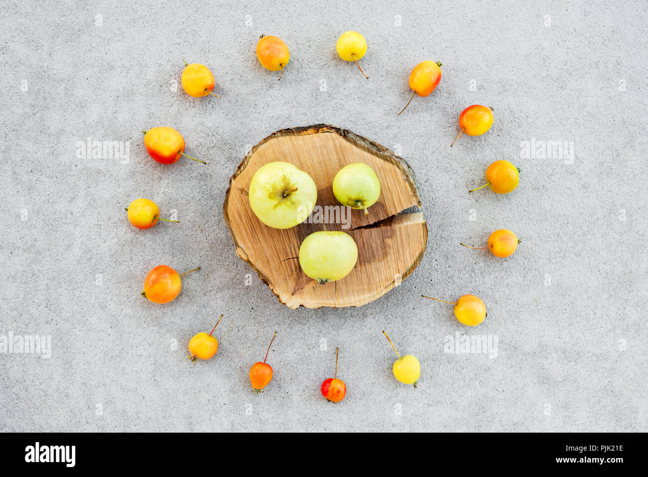 Cut the cut of the wood apple tree hi-res stock photography and images ...