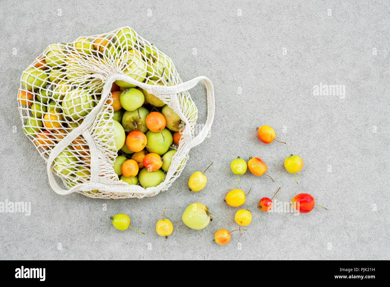 Mesh bag full of colorful apples from the garden, on gray concrete background. Stock Photo