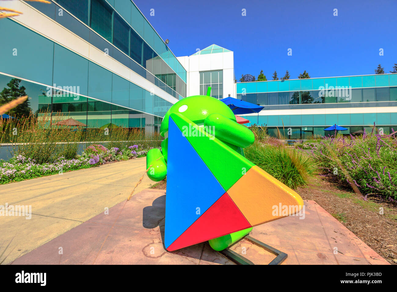 Mountain View, California, United States - August 13, 2018: Google Play Android Nougat statue on foreground at Charleston Campus of Google Headquarters in Silicon Valley near Googleplex. Building 47. Stock Photo