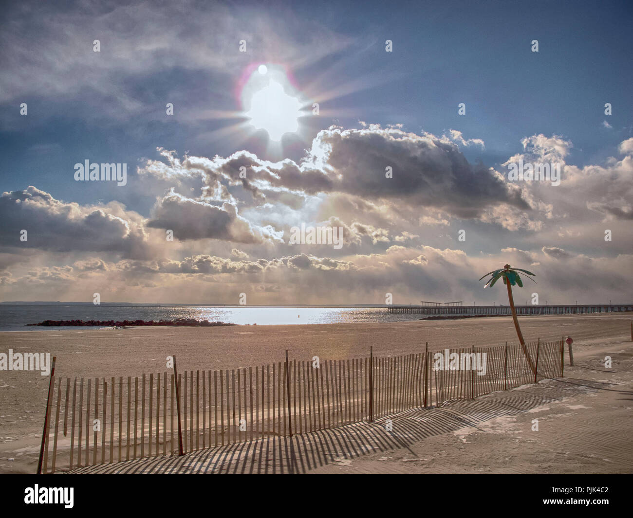 Beach with artificial Palm Tree in Coney Island, Brooklyn New York City