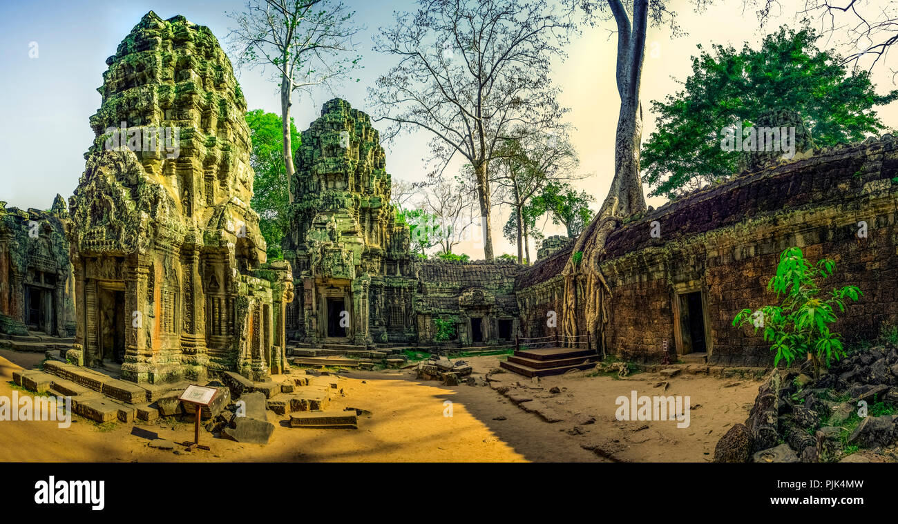 Asia, Cambodia, Angkor Wat, Ta Prohm Stock Photo