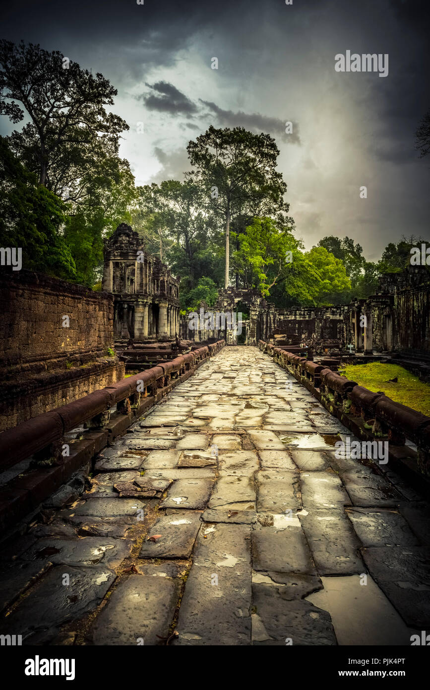 Asia, Cambodia, Angkor Wat, Preah Khan Stock Photo