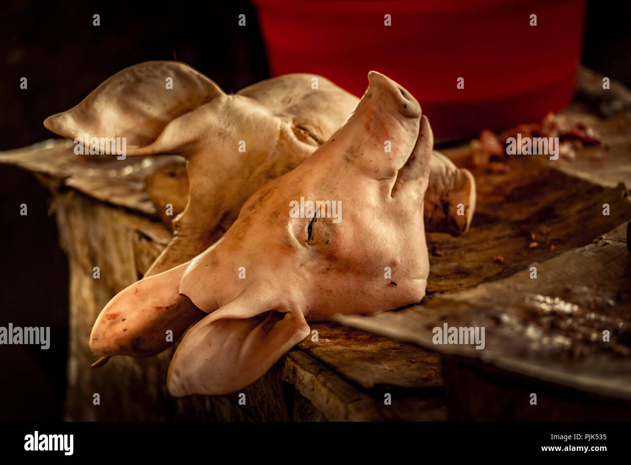 Asia, Southeast Asia, South Vietnam, Vietnam, Mekong Delta, market, meat sale, pork heads Stock Photo