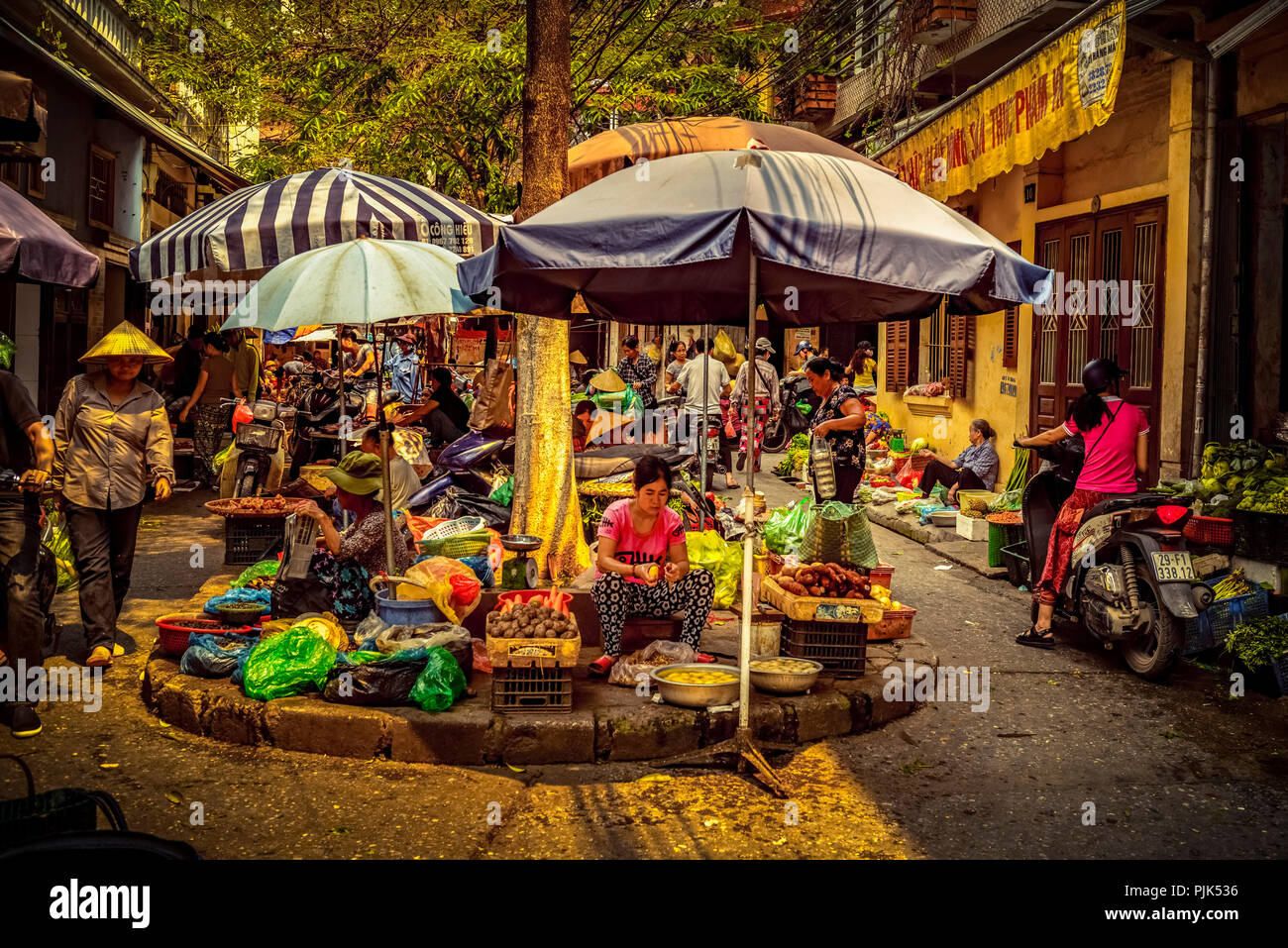 Asia, Vietnam, Hanoi, trade, market Stock Photo