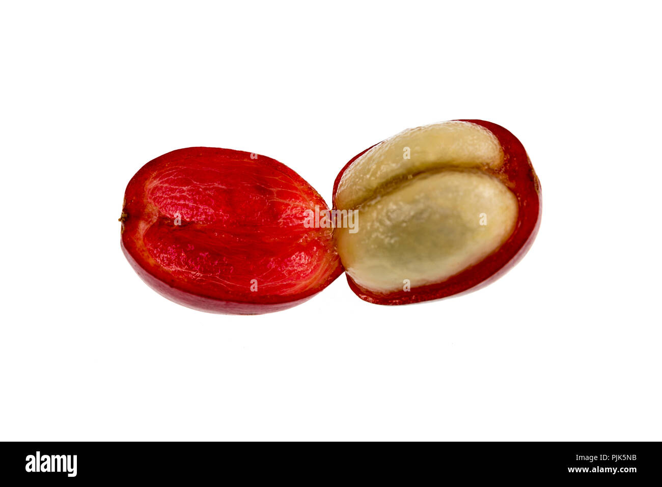Coffee cherry fruit anatomy hires stock photography and images Alamy