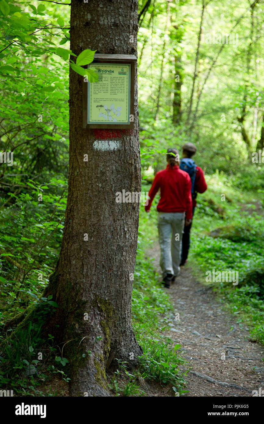 Hiking scene Luis Trenker Steig at Arzl, Pitztal, Tyrol, Austria. Stock Photo