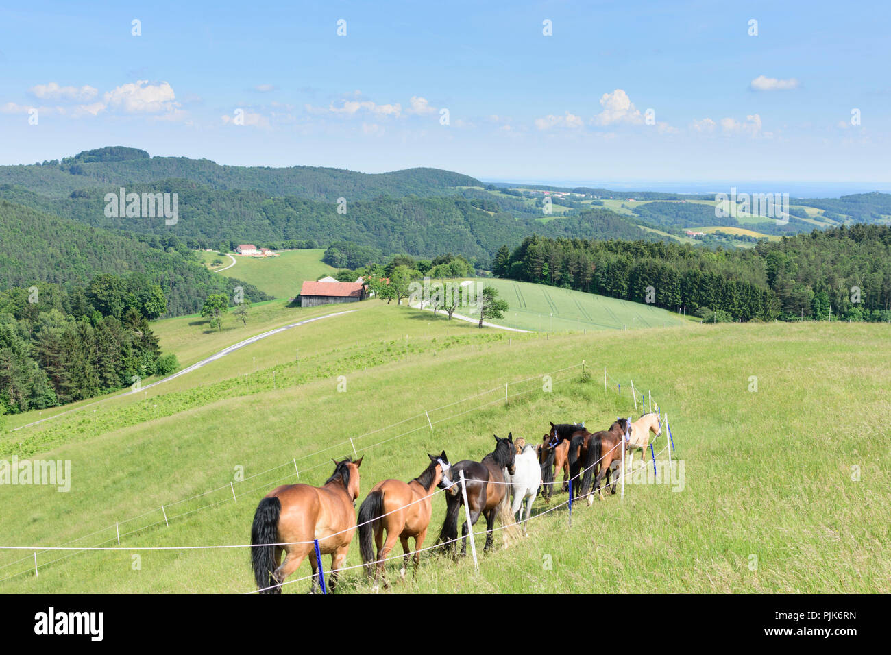 Hackbichl hires stock photography and images Alamy