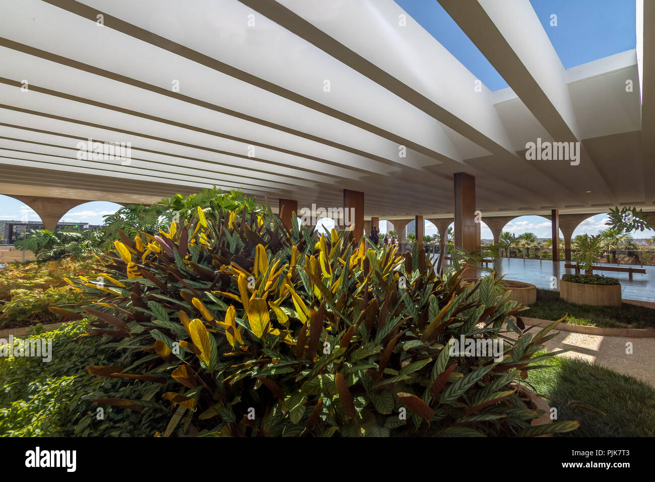 Terrace Gardens of Itamaraty Palace - Brasilia, Distrito Federal, Brazil Stock Photo