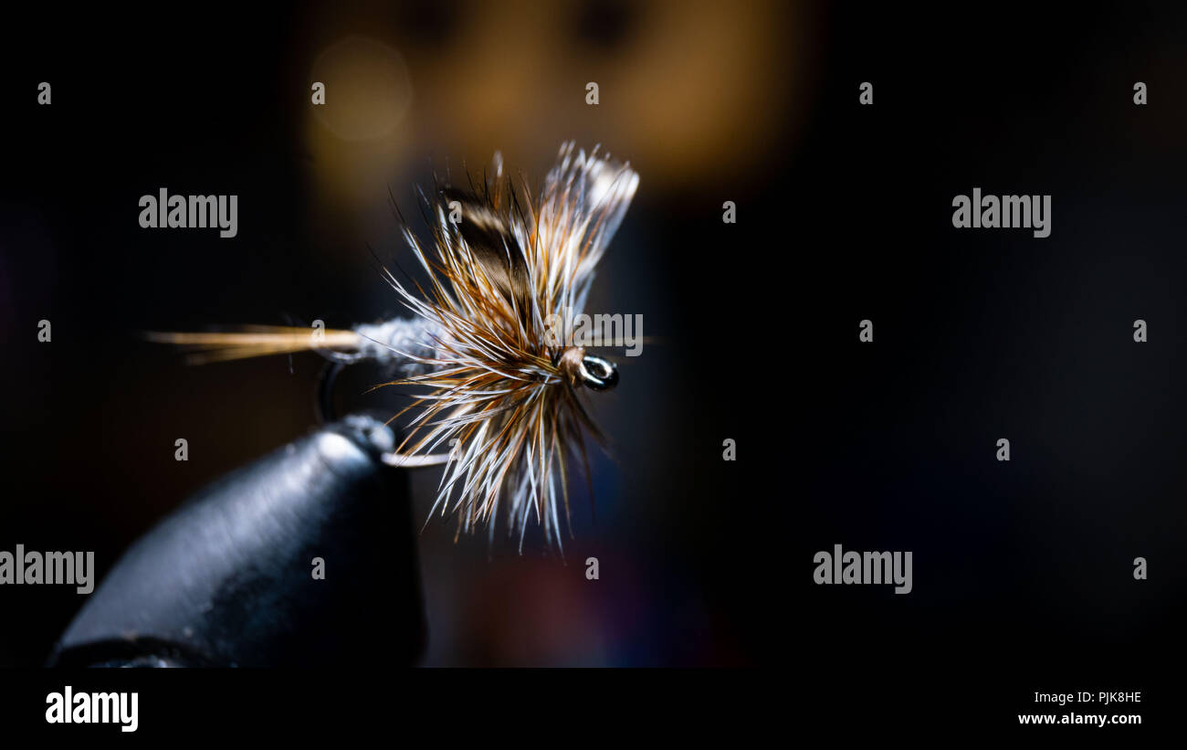 Fly tying a traditional trout fly, the Adams dry fly. The most popular