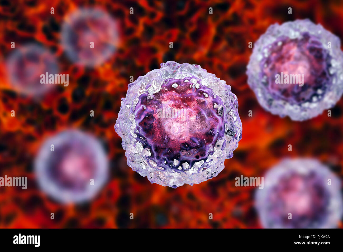 Human embryonic stem cells, computer illustration. Stock Photo