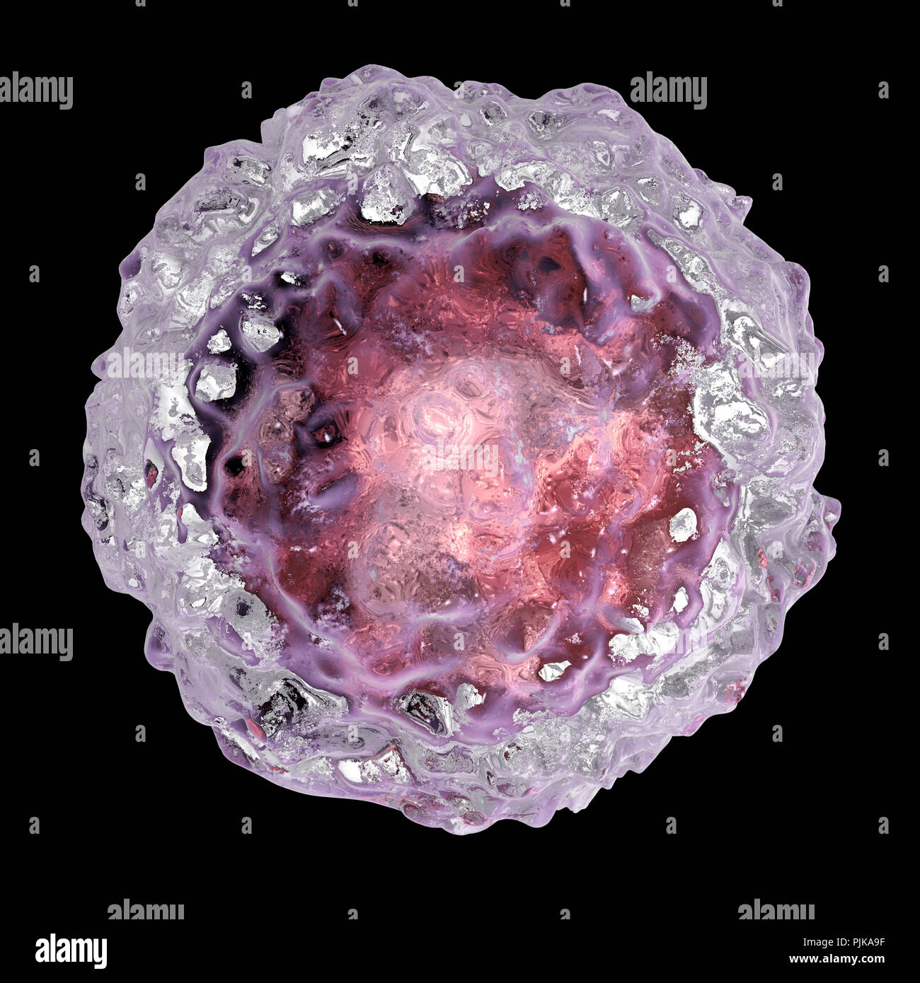 Human embryonic stem cells, computer illustration. Stock Photo
