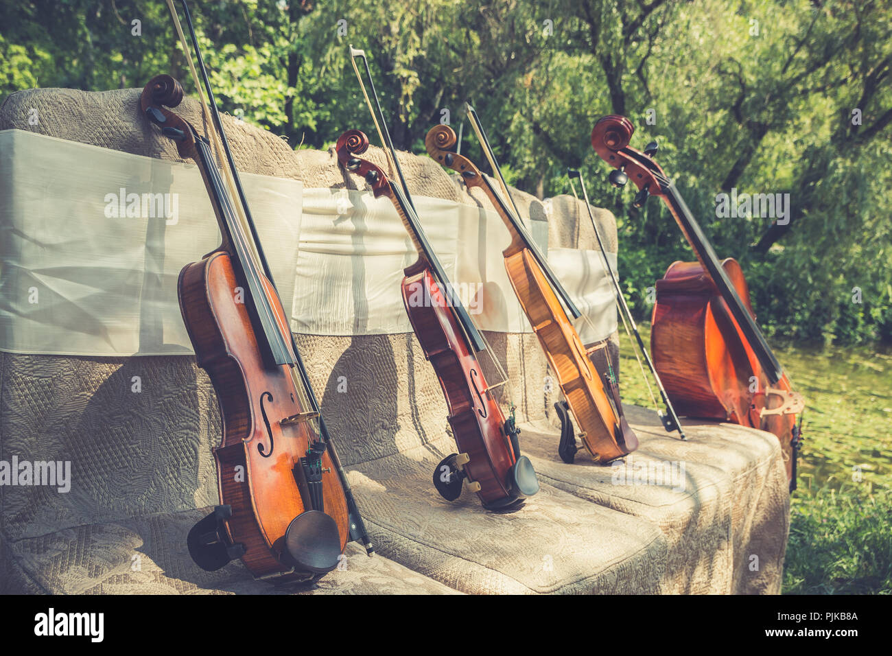 Violins forest hires stock photography and images Alamy