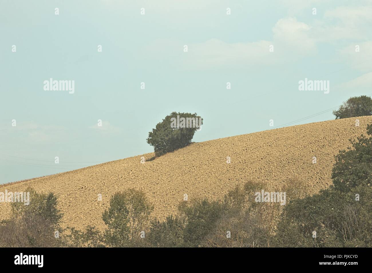 Blue isolated tree hill hi-res stock photography and images - Alamy