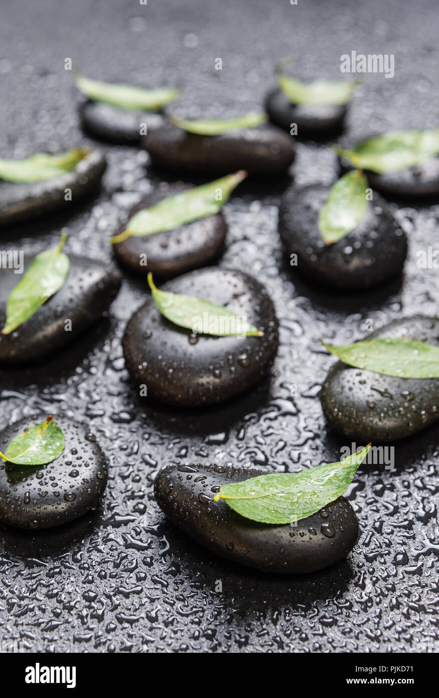 Several black basalt massage stones with green leaves on them, covered with water drops, distributed on a black background Stock Photo