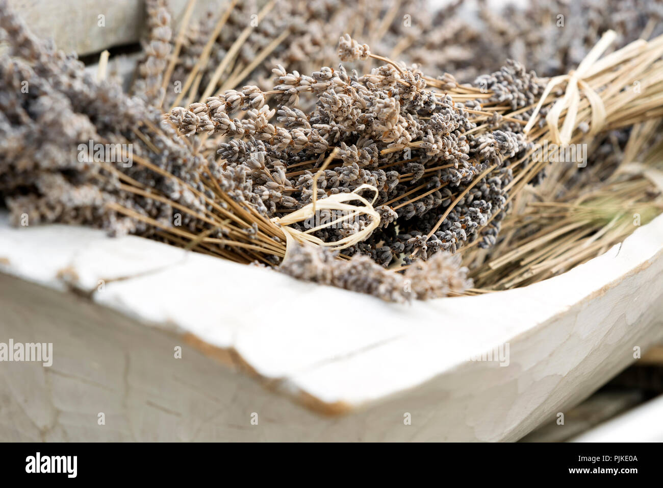 Dried lavender in wood tub, Tihany ( Hungary ) Stock Photo
