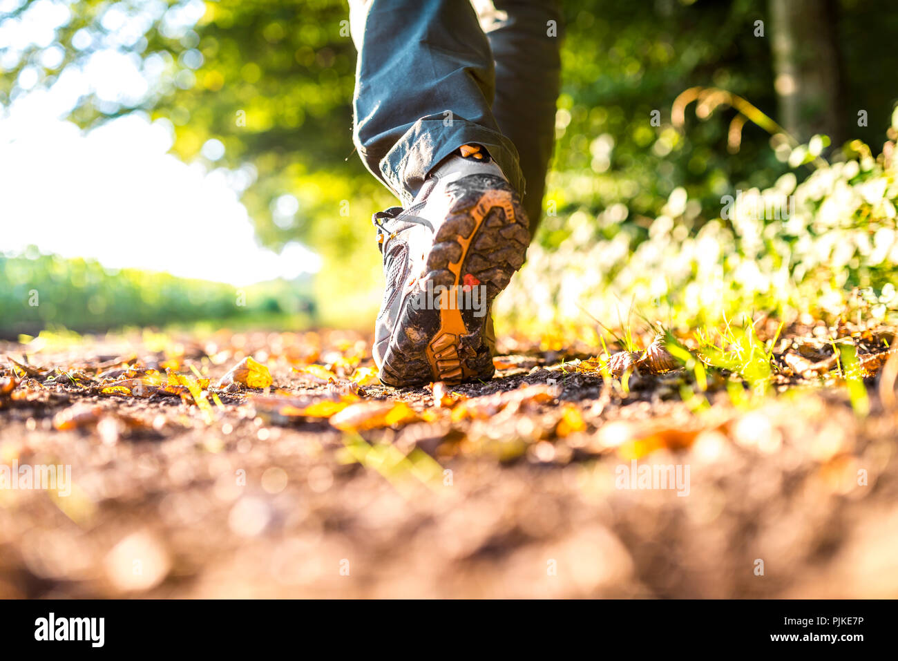 Detail of man walking in woods Stock Photo - Alamy