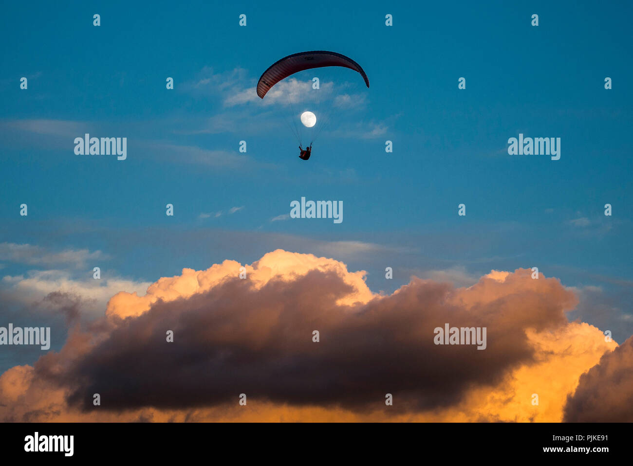 Paragliding above the clouds with full moon at Caleta on the Costa Adeje, aerial view, Tenerife, West Coast, Atlantic, Spain Stock Photo
