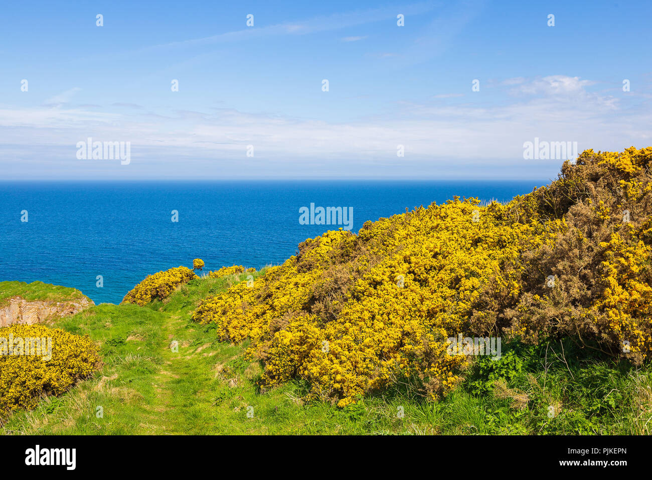 Findlater Castle ruins near the village Cullen Stock Photo