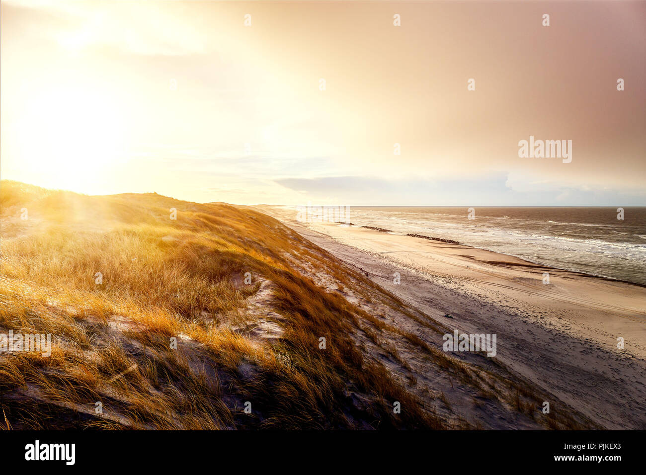 The Dunes at Hvide Sande beach at sunrise Stock Photo