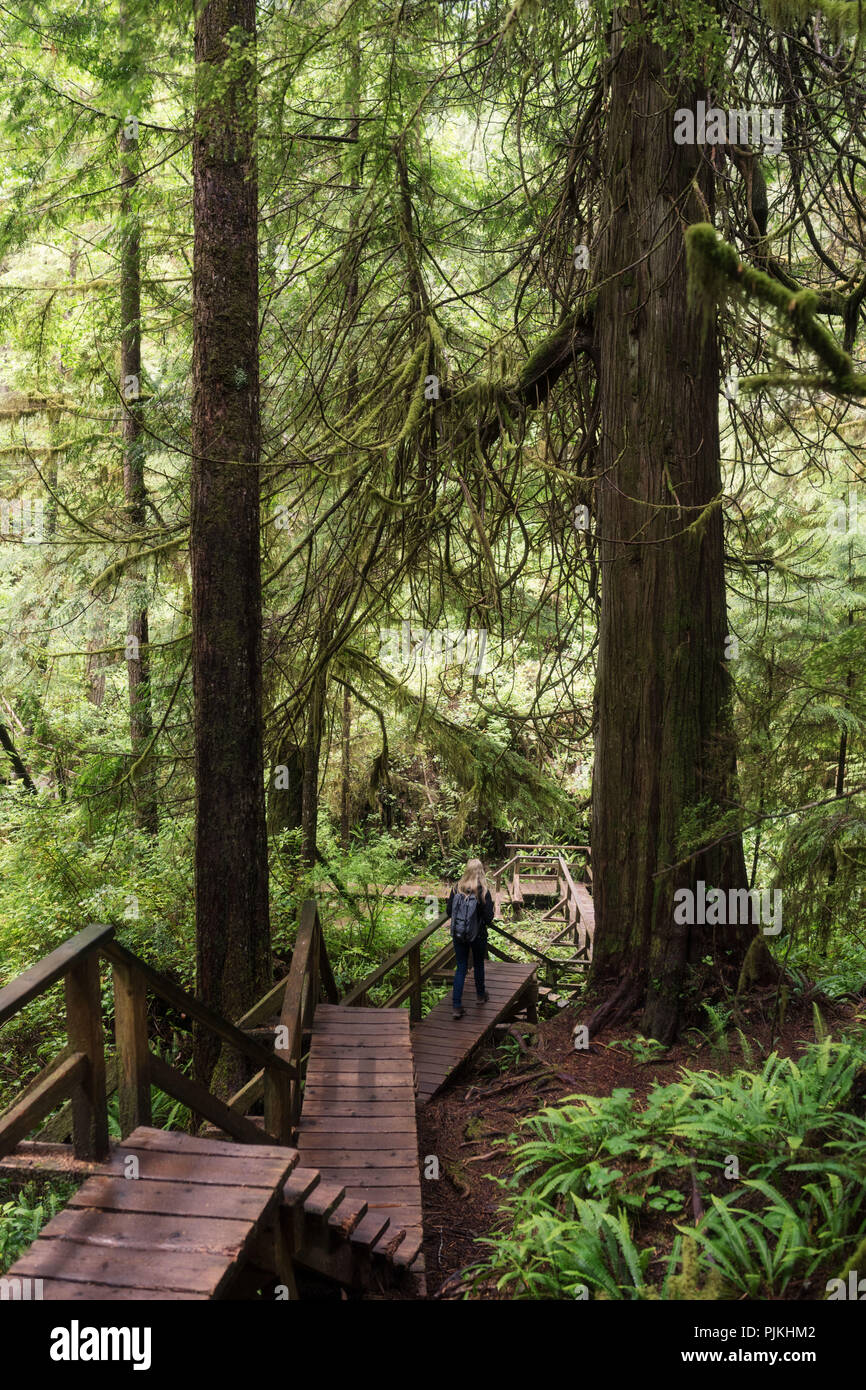 Hiking in the rainforest, Pacific Rim National Park, Canada Stock Photo