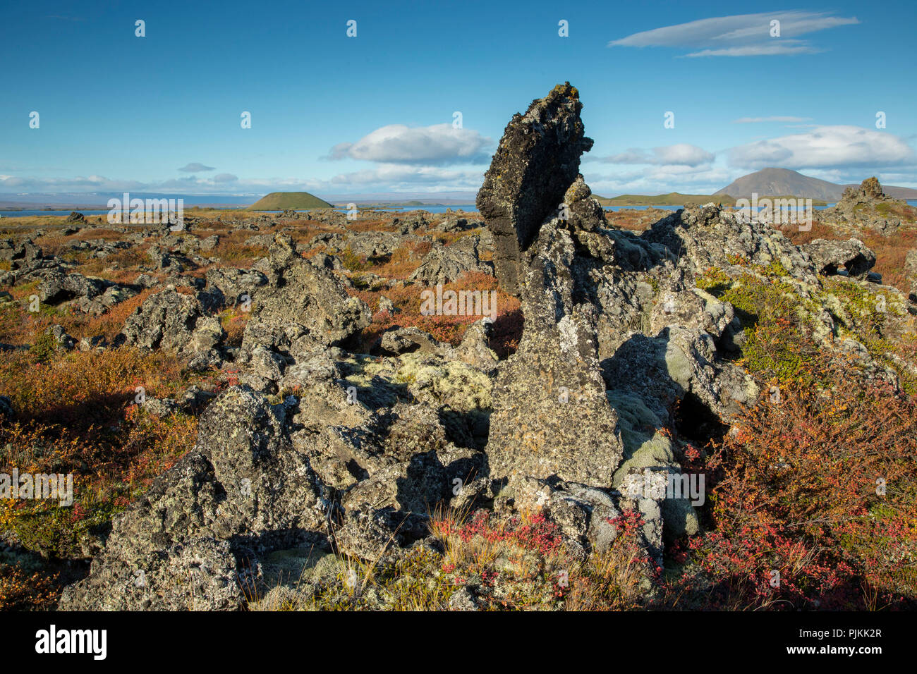 Iceland, Myvatn, lava rocks, Dimmuborgir lava field, Myvatn lake, pseudo crater, autumn leaves, cranberry foliage, blue sky Stock Photo