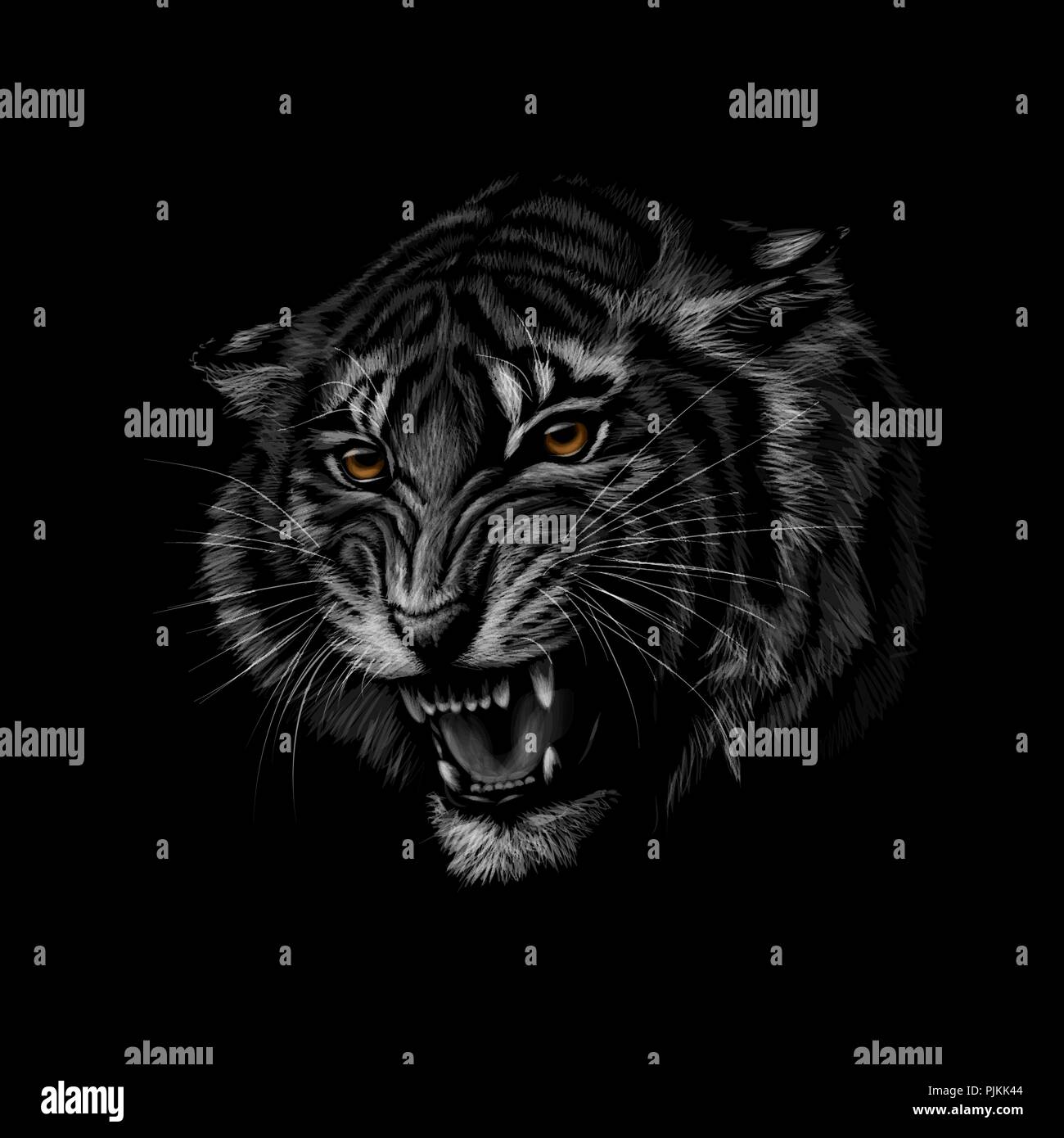 Portrait of a tiger head on a black background Stock Vector Image & Art -  Alamy