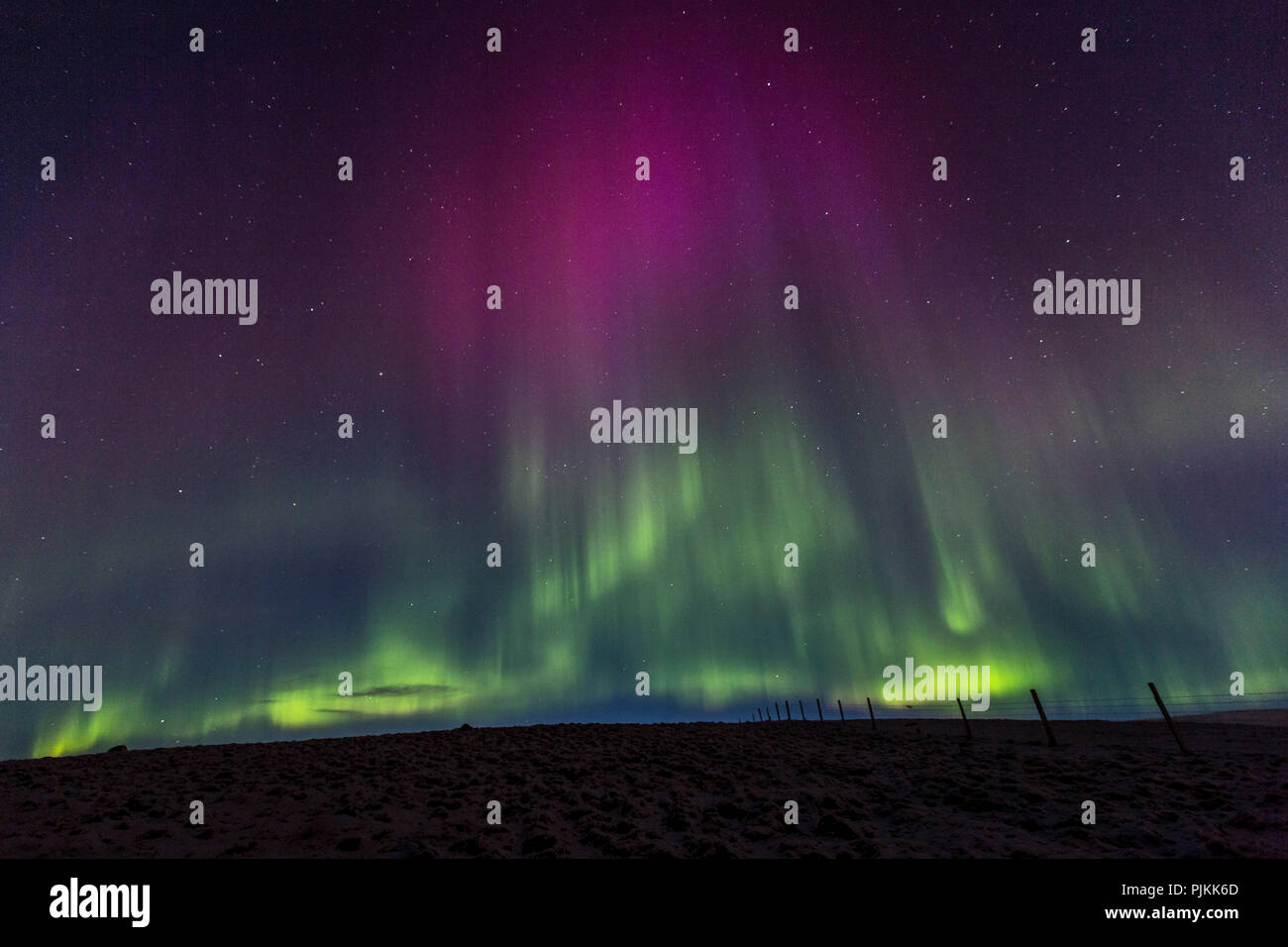 Iceland Northern Lights Green Purple Starry Sky Aurora Borealis South Iceland Pasture Fence Stock Photo Alamy