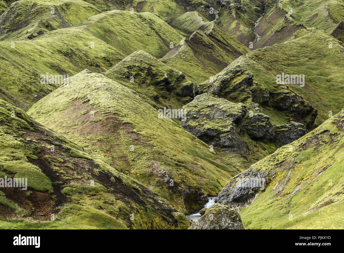 Iceland, Fjallabak, torrent in a bizarre erosion landscape, green mountainside Stock Photo