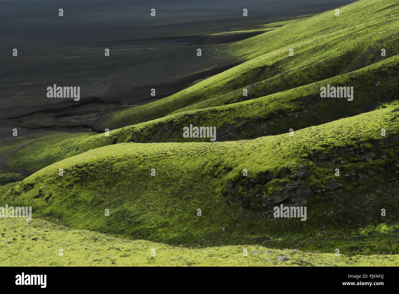 Iceland, Fjallabak, Maellifellsandur, mossy volcanic slopes on the edge ...
