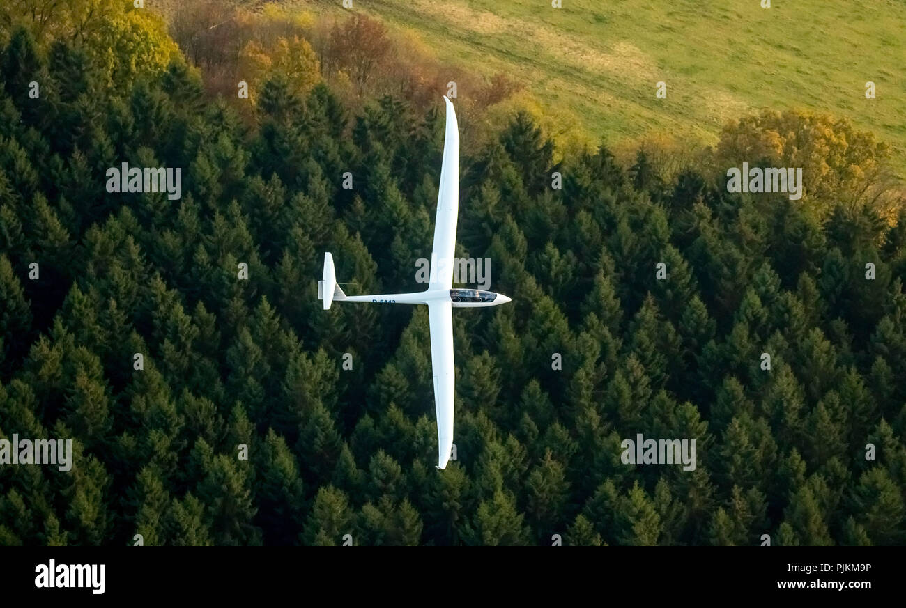 Duo Discus D-5443 from the LSC Oeventrop eV over the autumn woods of Oeventrop, glider double seater from Schempp-Hirth, Arnsberg, Ruhr area, North Rhine-Westphalia, Germany Stock Photo