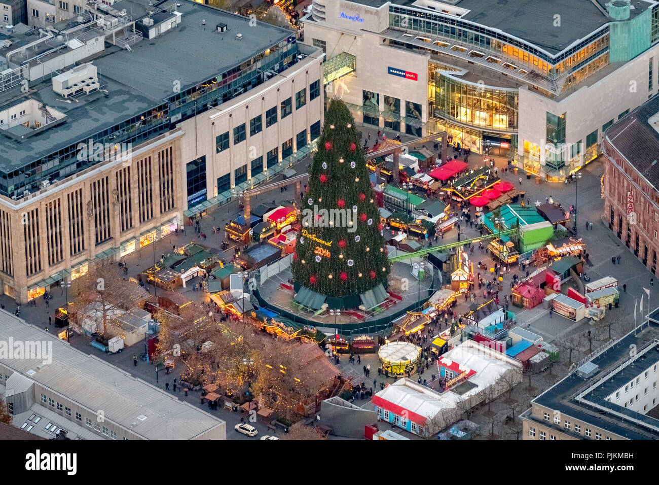 Largest tree in the world hires stock photography and images Alamy