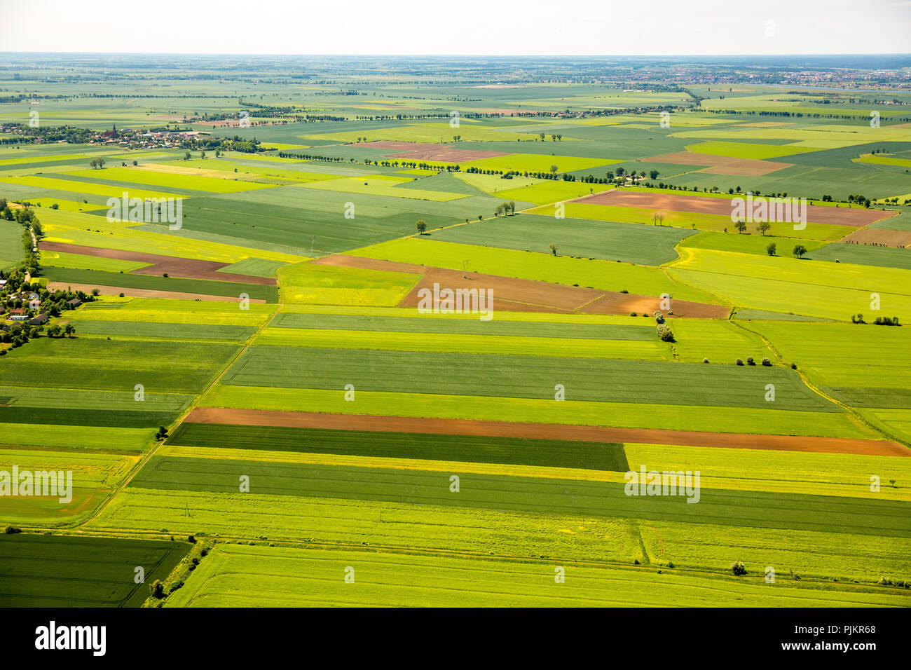 Agriculture, fields east of Gdansk, field pattern, Pregowo Zulawskie, Baltic Sea coast, Pomorskie, Poland Stock Photo