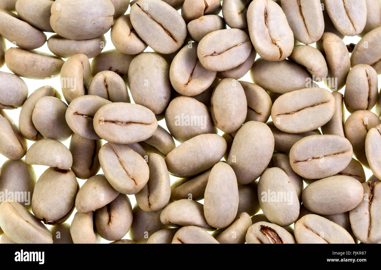 Coffee beans being dried after mucilage removal and prior to extracting