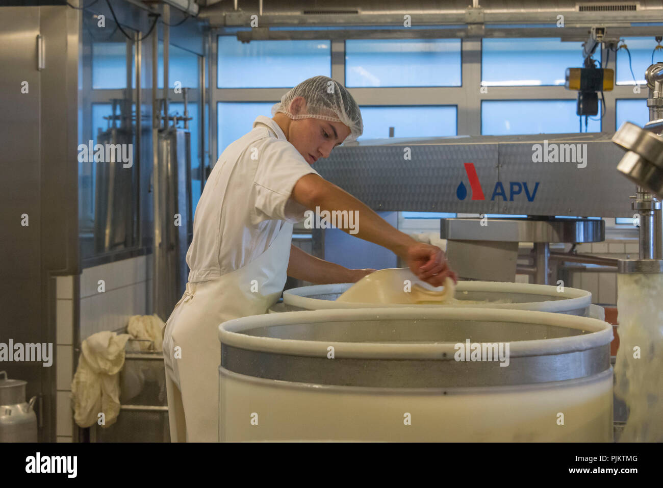 Cheese making Emmental cheese, cheese dairy in Affoltern, Emmental, Canton of Bern, Switzerland