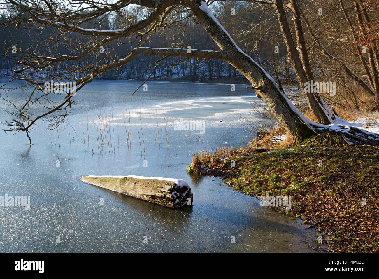 Kolksee hires stock photography and images Alamy