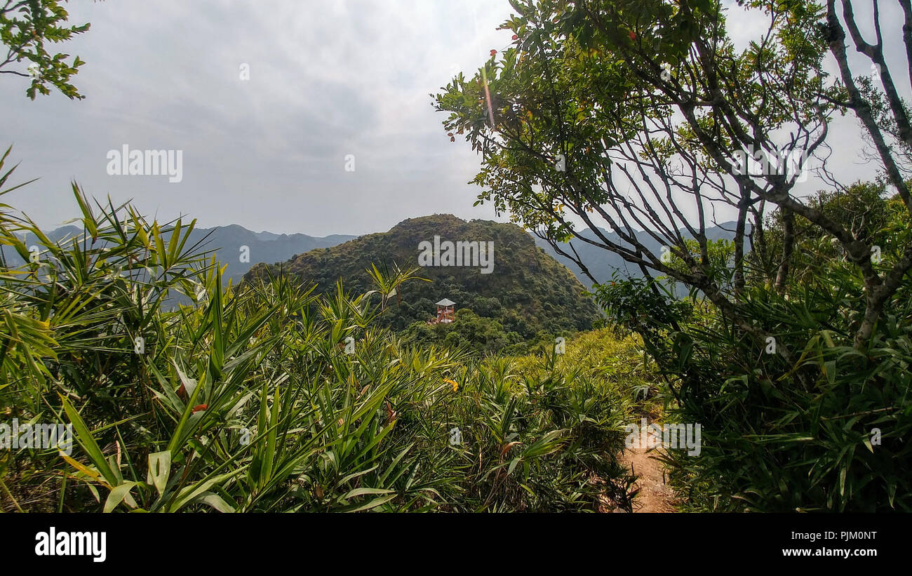 Cat Ba National Park, Ngu Lam Mountain, Vietnam Stock Photo