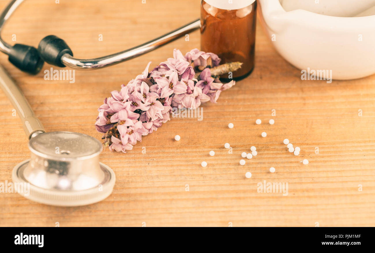 Daphne mezereum, common daphne, a poisonous plant used in homeopathy Stock Photo