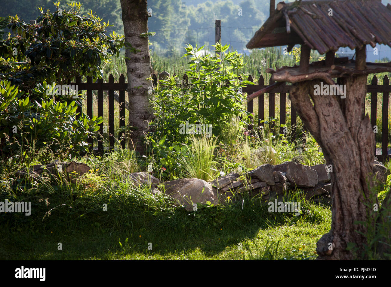 Idyllic garden with bird house and herb bed, Hochsauerland, Sauerland, North Rhine-Westphalia, Germany Stock Photo