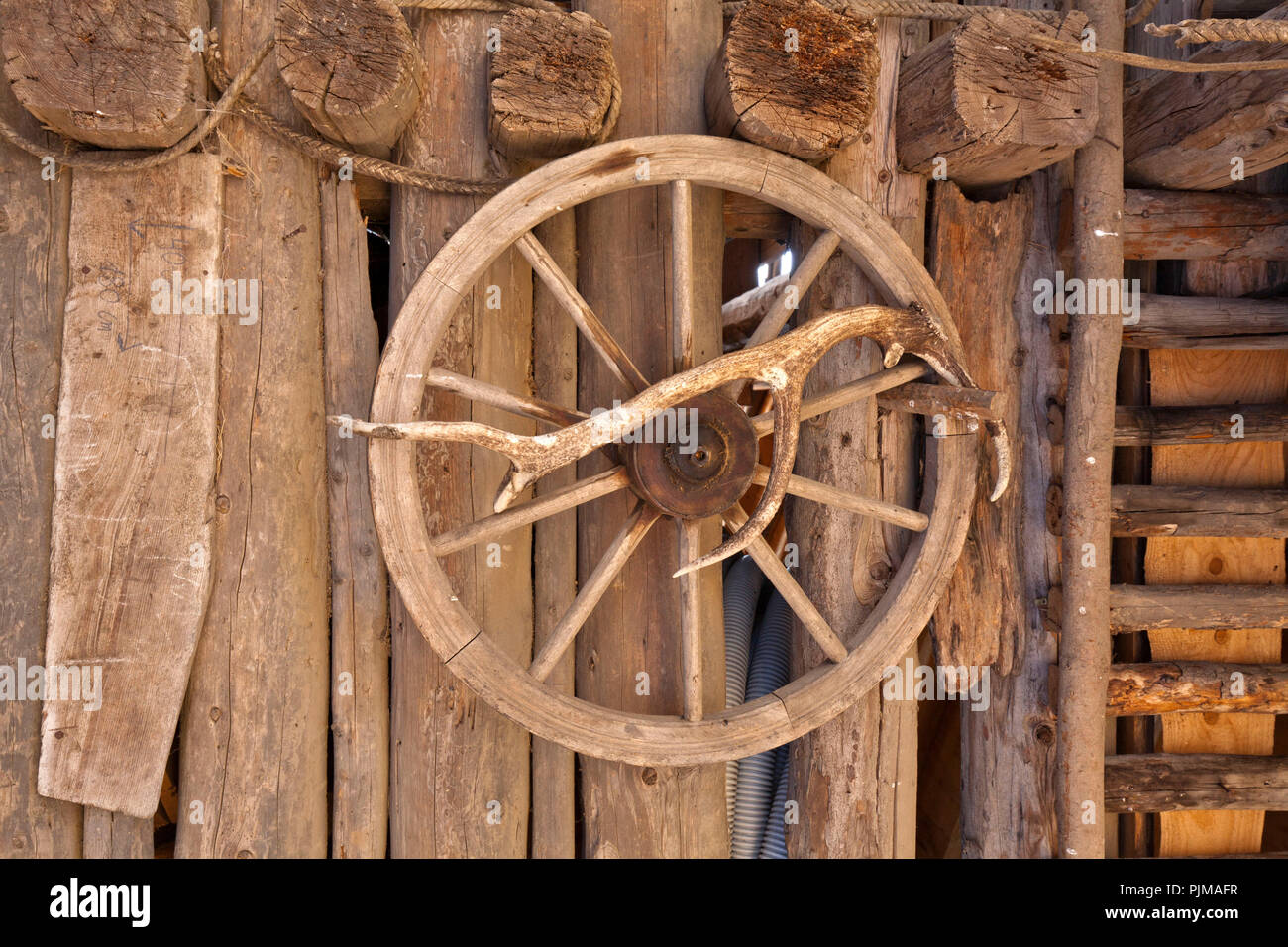 wooden spoked wheel with deer antler Stock Photo