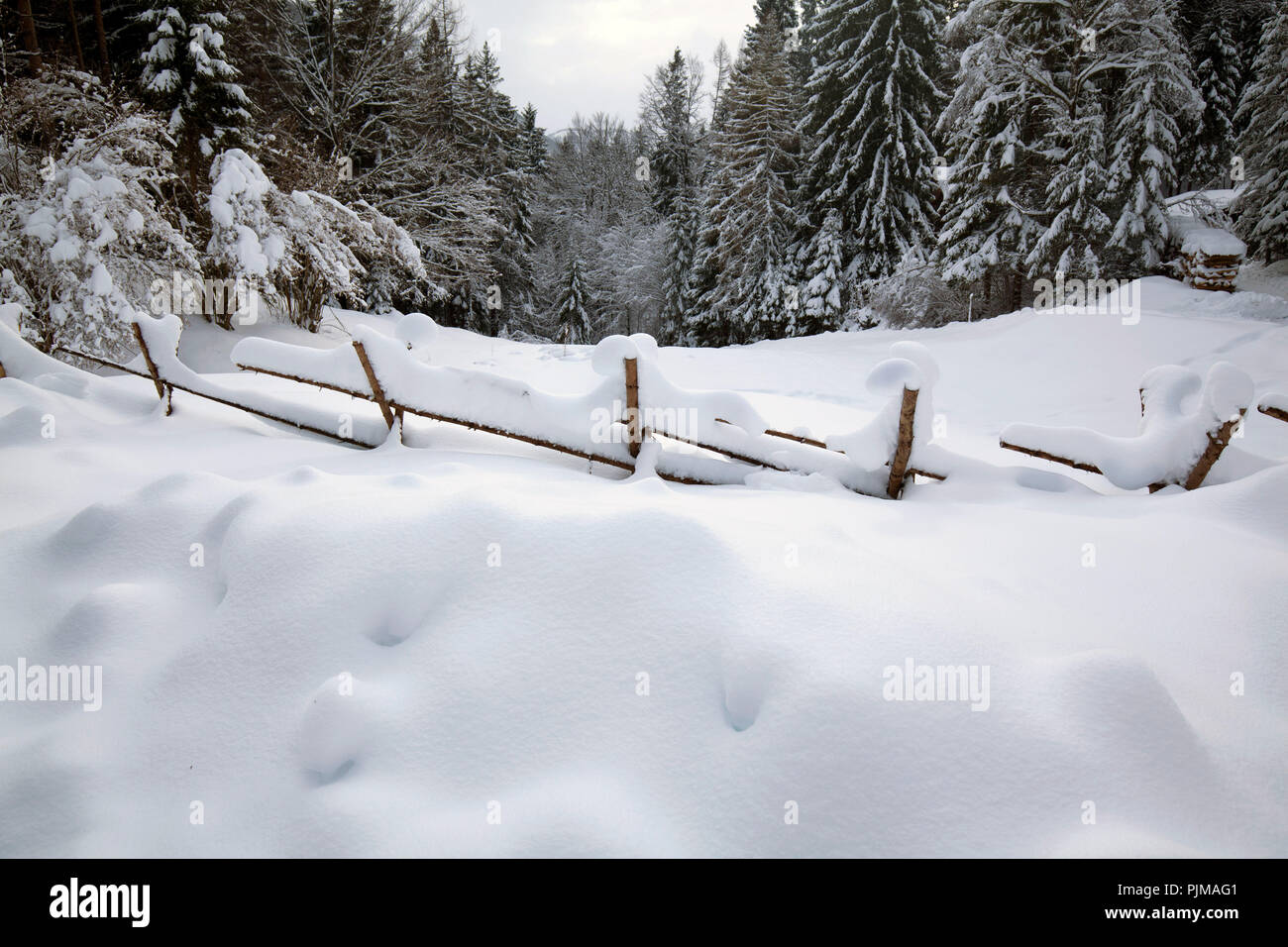High wooden fence hi-res stock photography and images - Alamy