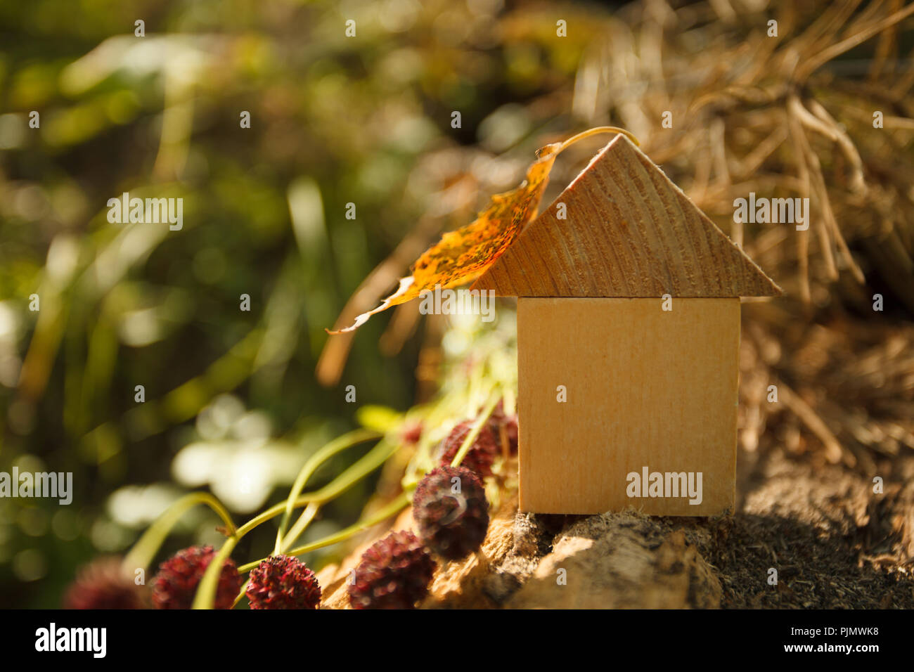 Eco Friendly house concept, Environment conservation concept, yellow fall autumn background. model home outdoors in a garden with copy space on wooden Stock Photo