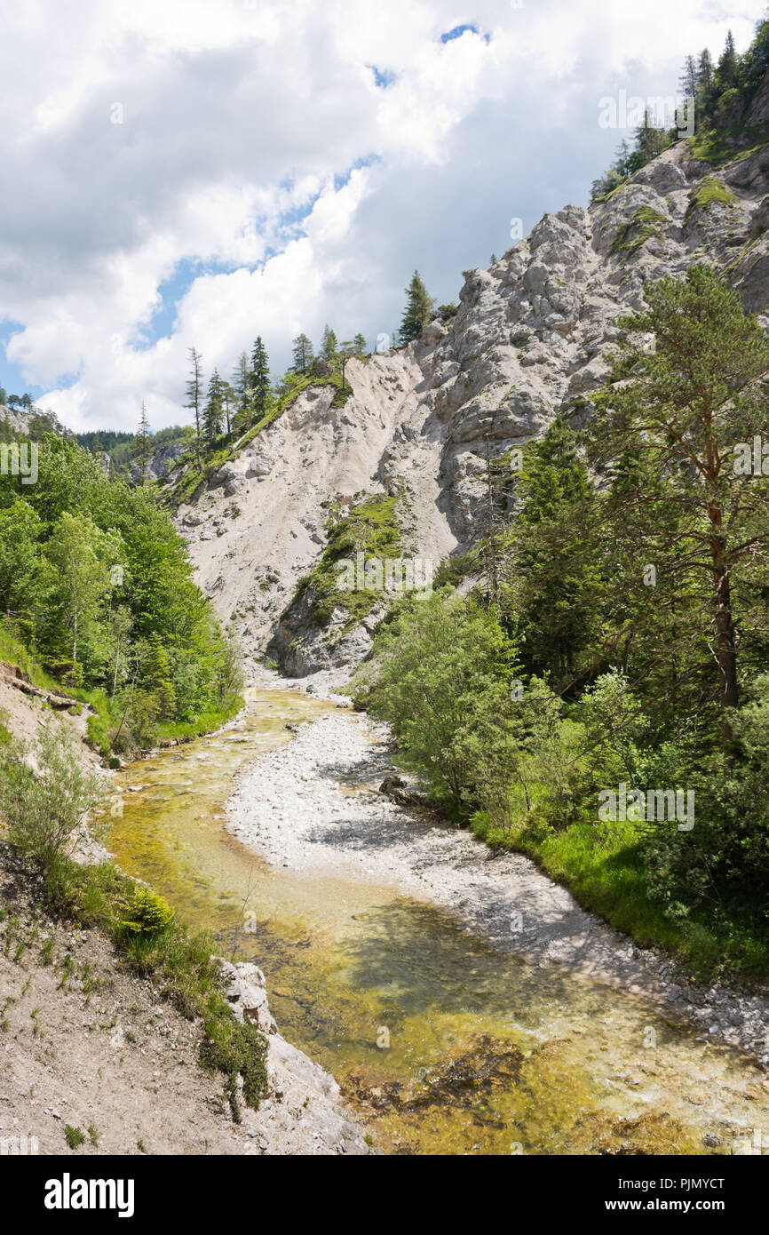 Spectacular rocky gorge with mountain stream in the wilderness of the Ötschergräben in Austrian Alps. Stock Photo