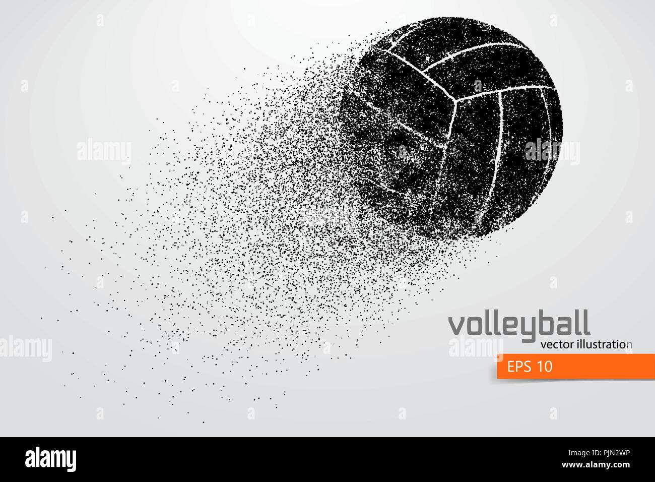 Volleyball Vector Vectors