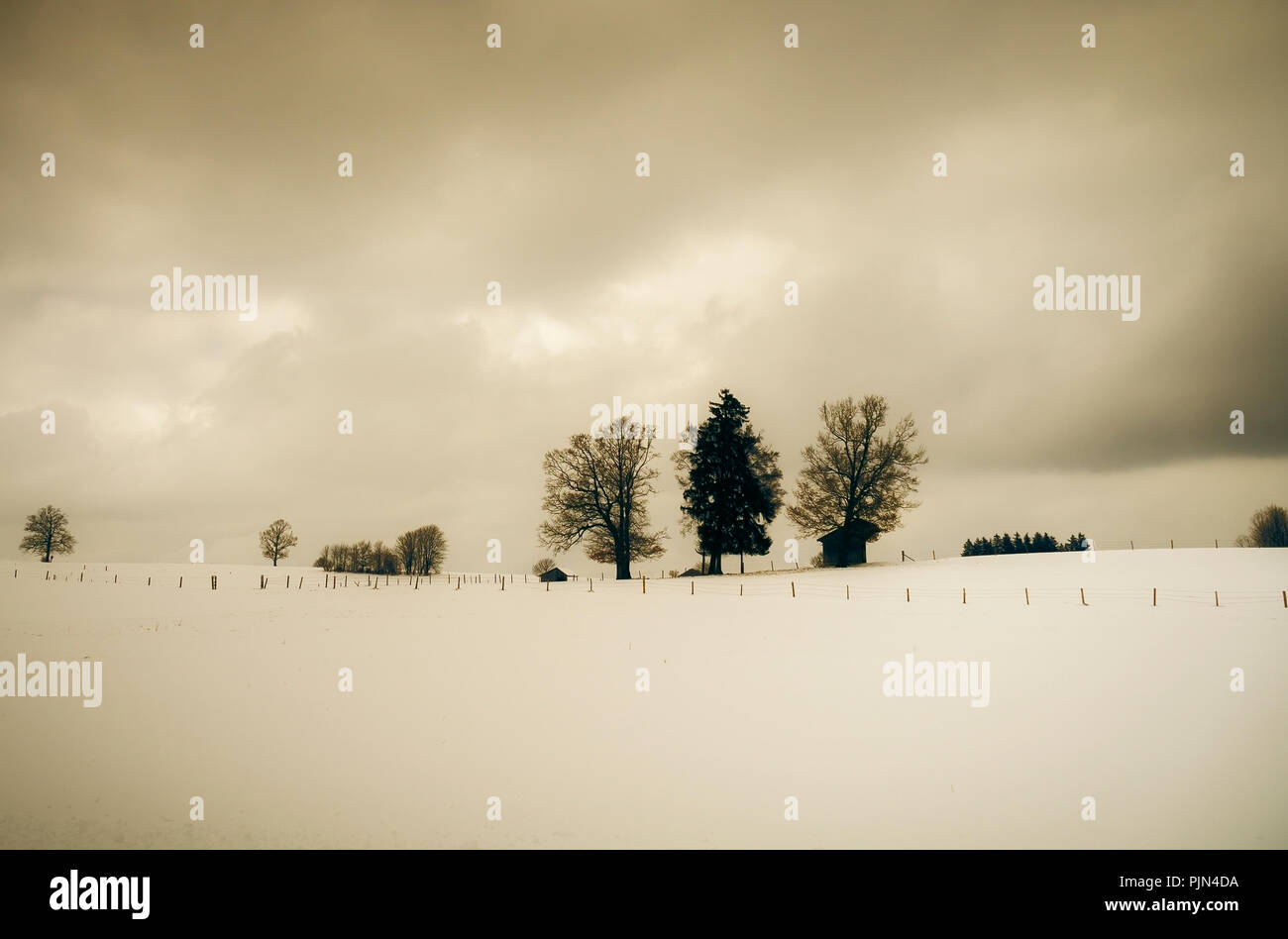 A nice wintry scenery in sepia colours, Eine schoene winterliche Szenerie in Sepia-Farben Stock Photo