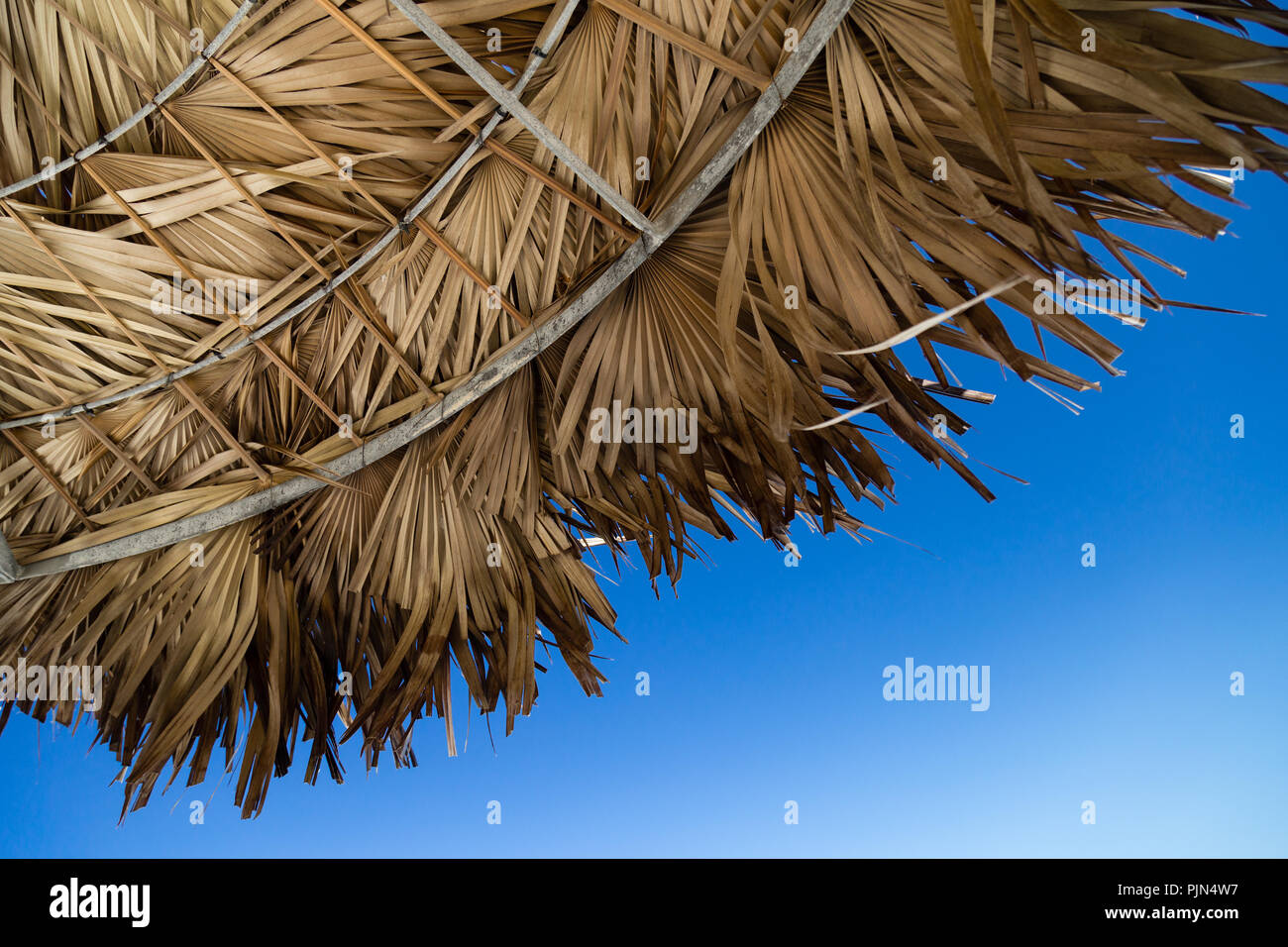 Looking up at a palapa and the blue sky relaxation Stock Photo