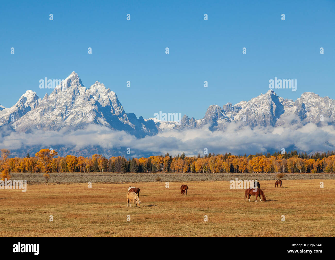 Scenic Autumn Landscape in the Tetons Stock Photo - Alamy