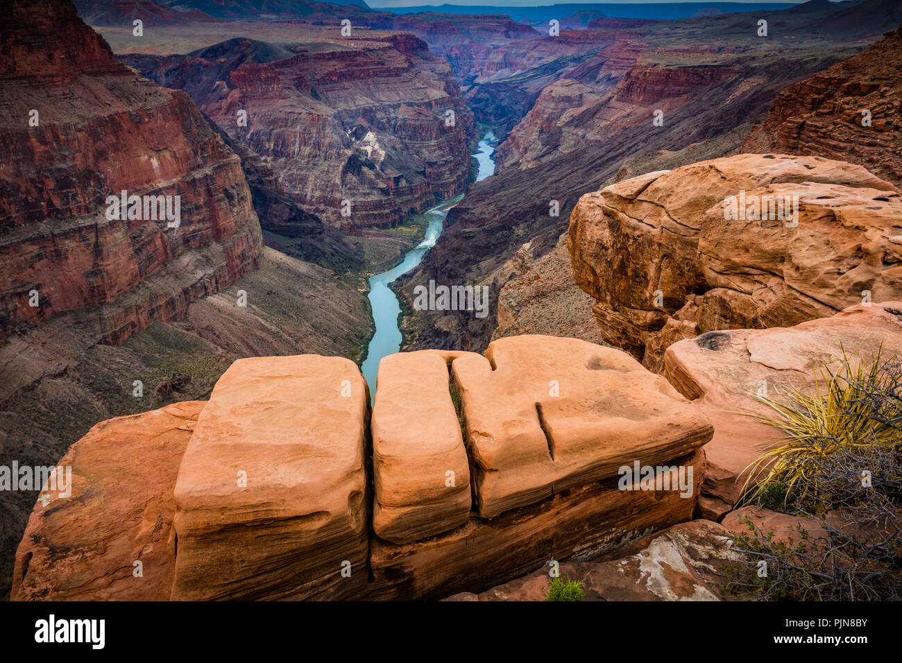 Grand Canyon from Toroweap Point. The Grand Canyon is a steep-sided canyon carved by the Colorado River in the state of Arizona. Stock Photo