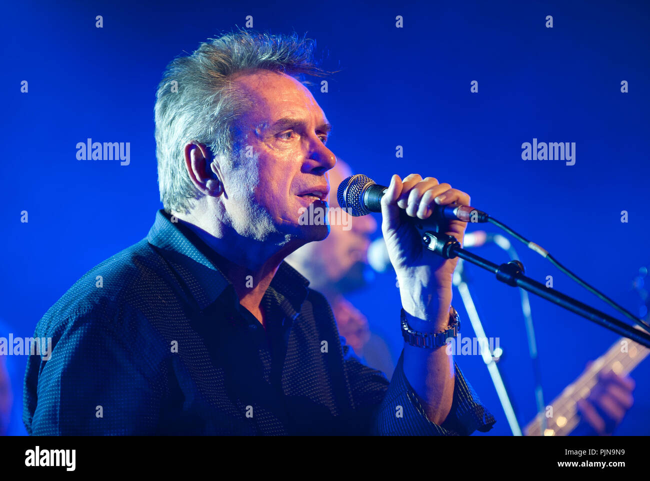 Dutch musician and singer Henny Vrienten performing at the Radio 1 Sessies, in Antwerp (Belgium, 19/11/2015) Stock Photo